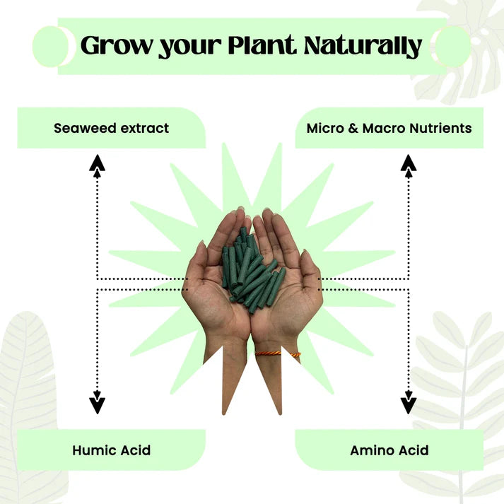 GreenGlow Fertilizer Sticks For Plants