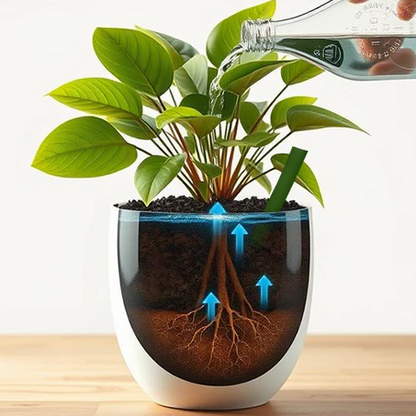 GreenGlow Fertilizer Sticks For Plants